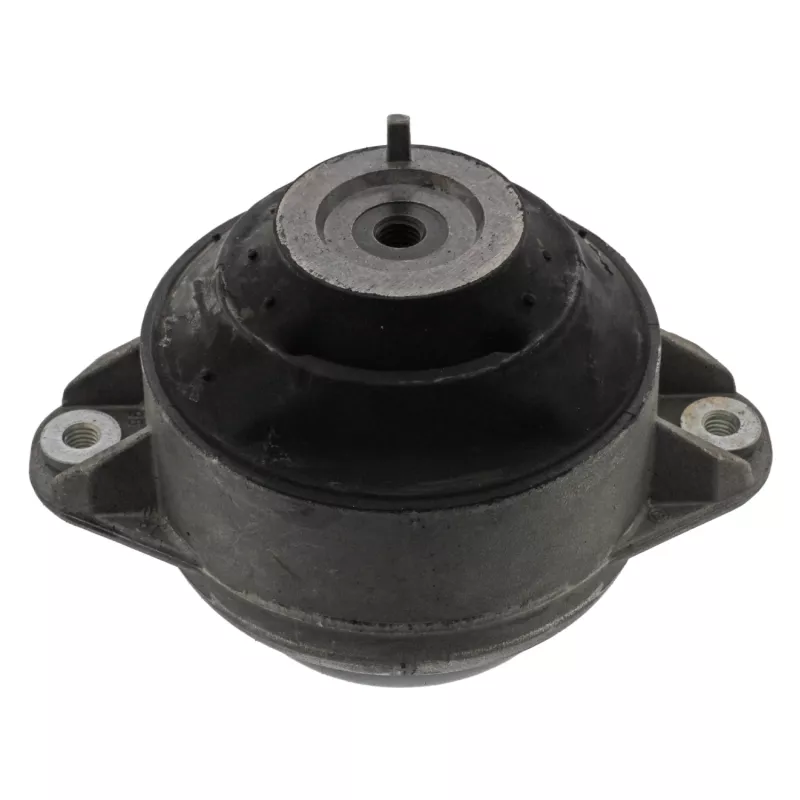Support moteur FEBI BILSTEIN 07896