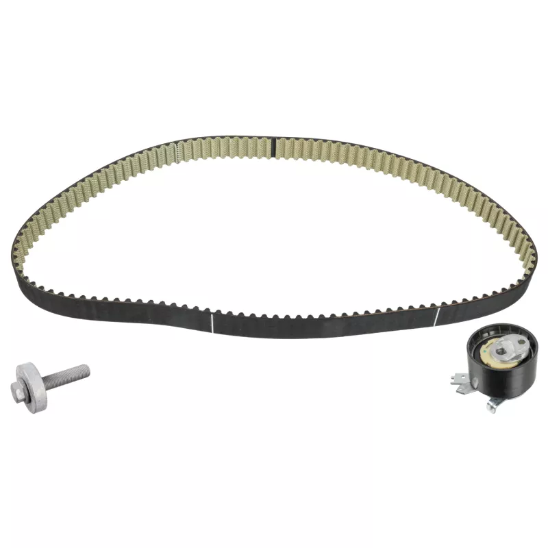 Kit de distribution FEBI BILSTEIN 100520
