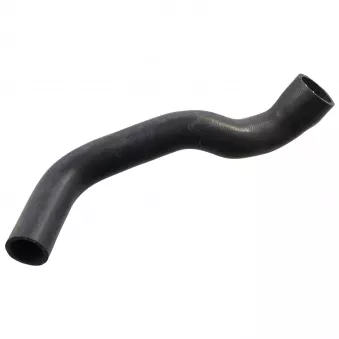 Durite de radiateur FEBI BILSTEIN