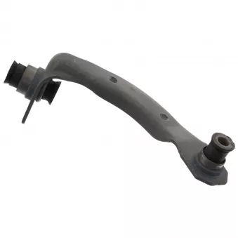 Support, suspension du moteur avant droit FEBI BILSTEIN 102695