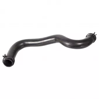 Durite de radiateur FEBI BILSTEIN 106210