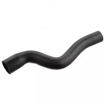 Durite de radiateur FEBI BILSTEIN 106274