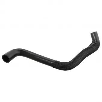 Durite de radiateur FEBI BILSTEIN 106277