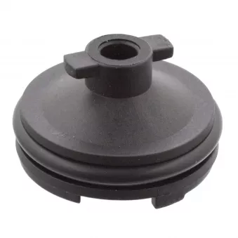 Bouchon fileté, boîte de transmission FEBI BILSTEIN 106566