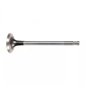 Soupape d'échappement FEBI BILSTEIN 12824