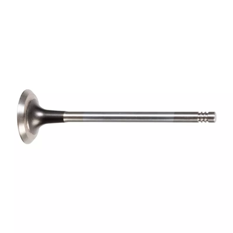 Soupape d'échappement FEBI BILSTEIN 12824