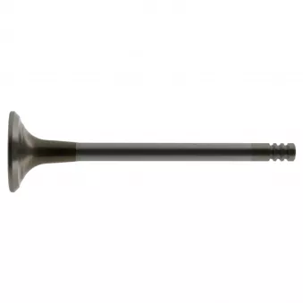 Soupape d'échappement FEBI BILSTEIN 12861