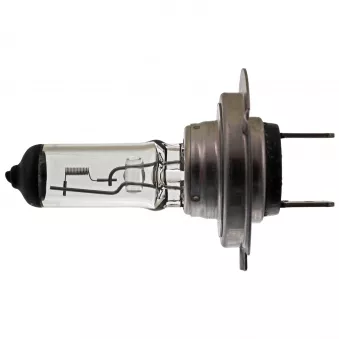 Ampoule, projecteur principal FEBI BILSTEIN 15543