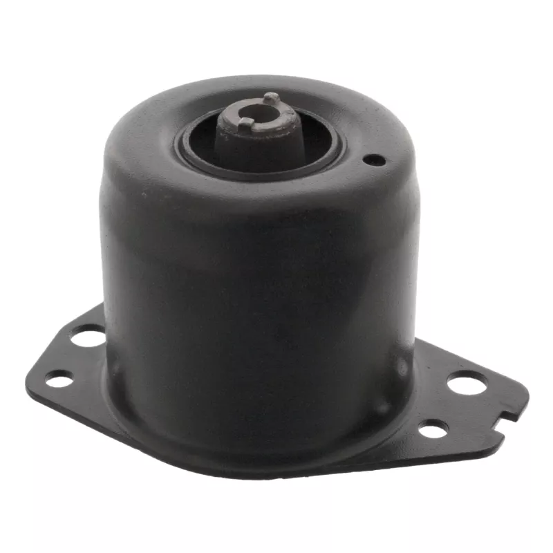 Support moteur FEBI BILSTEIN 15666