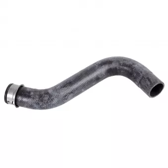 Durite de radiateur FEBI BILSTEIN 170439