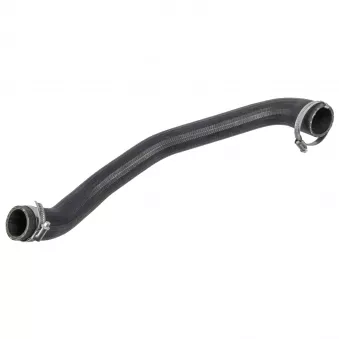 Gaine de suralimentation FEBI BILSTEIN 170774