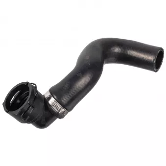 Durite de radiateur FEBI BILSTEIN