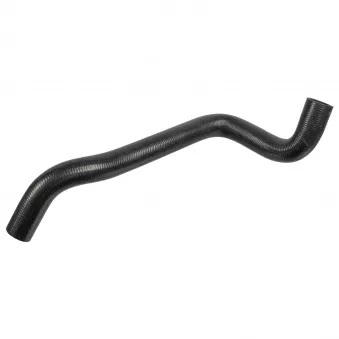 Durite de radiateur FEBI BILSTEIN 170987