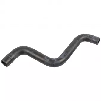 Durite de radiateur FEBI BILSTEIN 171011