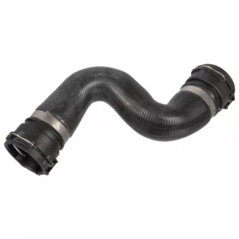 Durite de radiateur FEBI BILSTEIN 171107