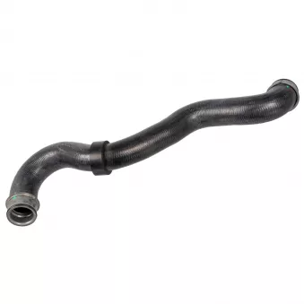 Durite de radiateur FEBI BILSTEIN 171201
