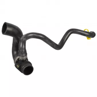 Durite de radiateur FEBI BILSTEIN 171205