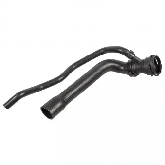 Durite de radiateur FEBI BILSTEIN 171217