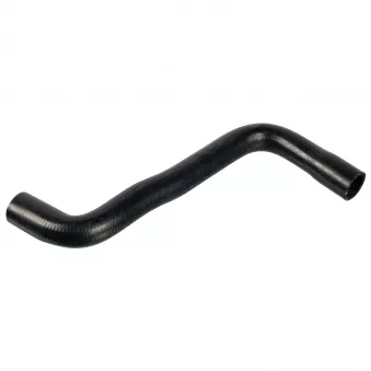 Durite de radiateur FEBI BILSTEIN 171587