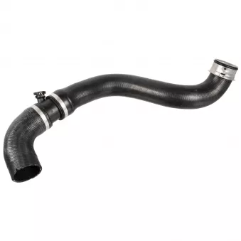 Durite de radiateur FEBI BILSTEIN 172431