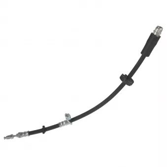 Flexible de frein FEBI BILSTEIN 172681