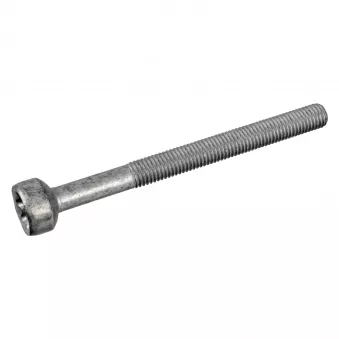 Vis, support pour controleur d'injecteurs FEBI BILSTEIN 172930