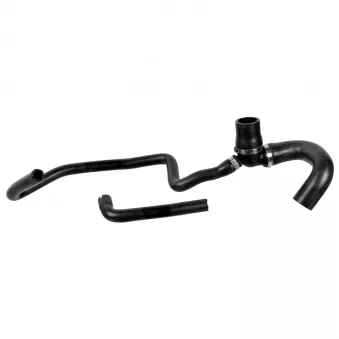 Durite de radiateur FEBI BILSTEIN 172956