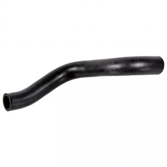 Durite de radiateur FEBI BILSTEIN 172957