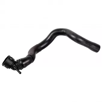 Durite de radiateur FEBI BILSTEIN 172966