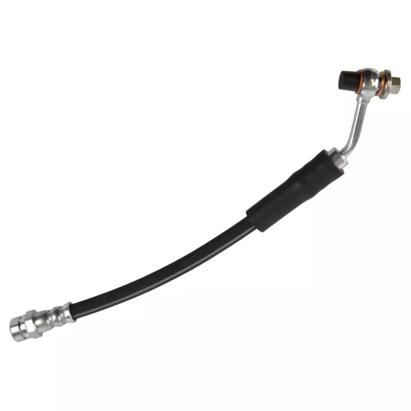Flexible de frein FEBI BILSTEIN 173252