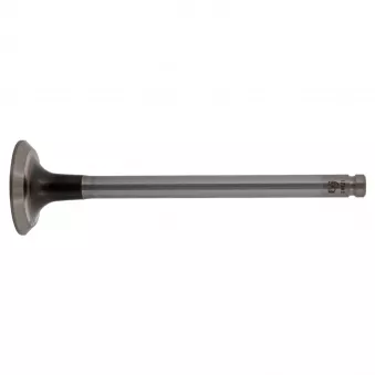 Soupape d'échappement FEBI BILSTEIN 17383