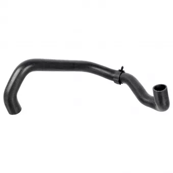 Durite de radiateur FEBI BILSTEIN 174416