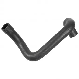 Durite de radiateur FEBI BILSTEIN 174787