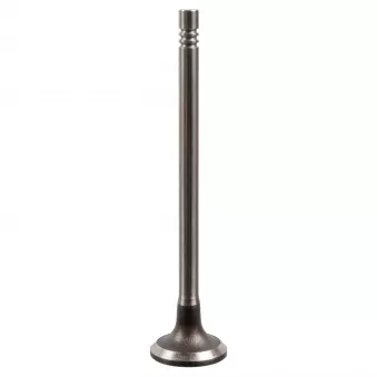 Soupape d'admission FEBI BILSTEIN 175555