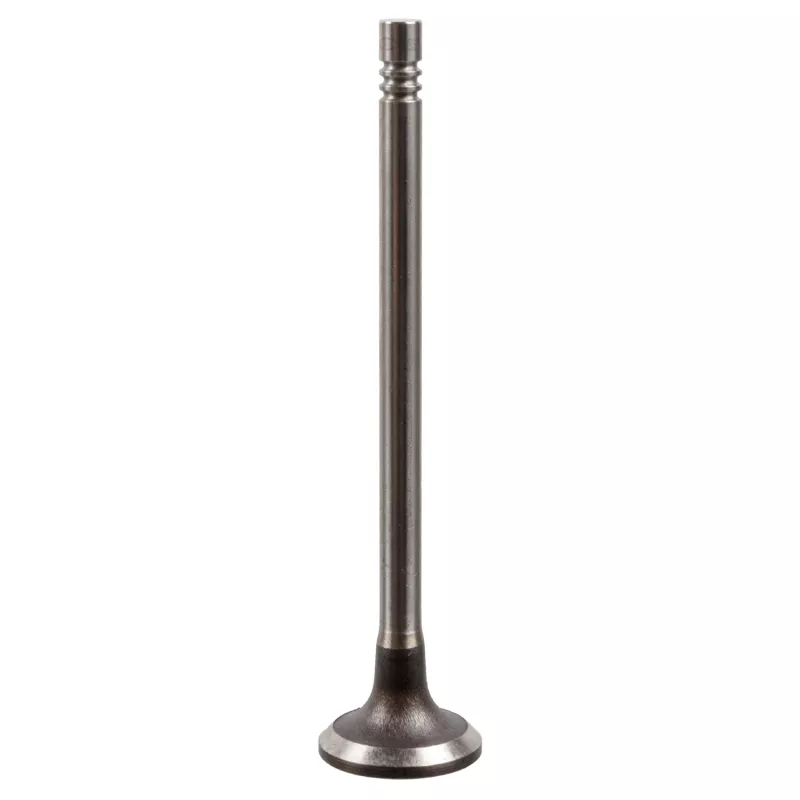 Soupape d'admission FEBI BILSTEIN 175555