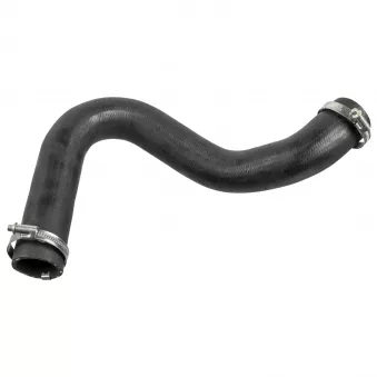Gaine de suralimentation FEBI BILSTEIN 175705