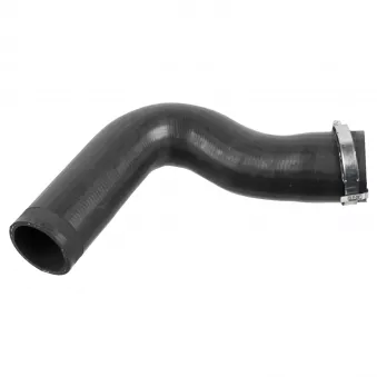 Gaine de suralimentation FEBI BILSTEIN 175707
