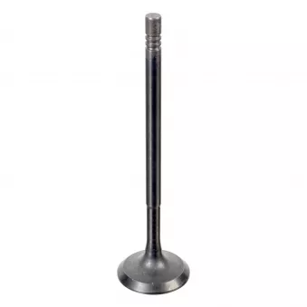 Soupape d'admission FEBI BILSTEIN 176538