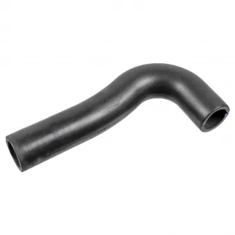 Tuyau, ventilation de carter-moteur FEBI BILSTEIN