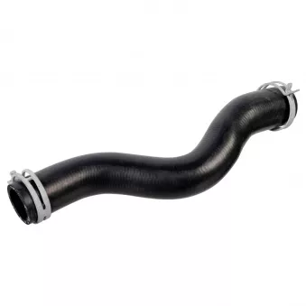 Durite de radiateur FEBI BILSTEIN 178469