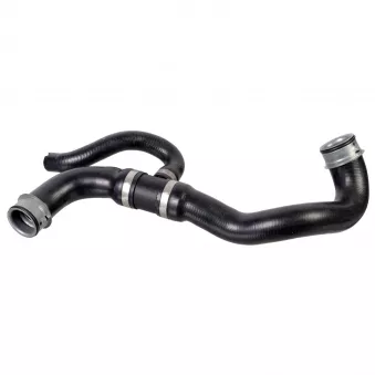 Durite de radiateur FEBI BILSTEIN 179482