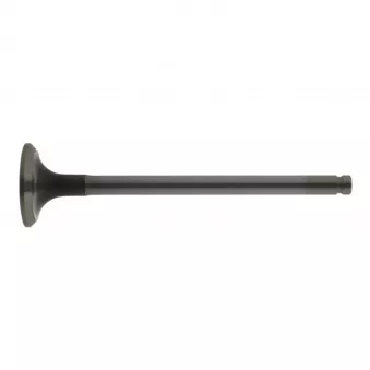 Soupape d'échappement FEBI BILSTEIN