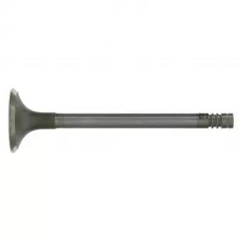 Soupape d'échappement FEBI BILSTEIN 19303