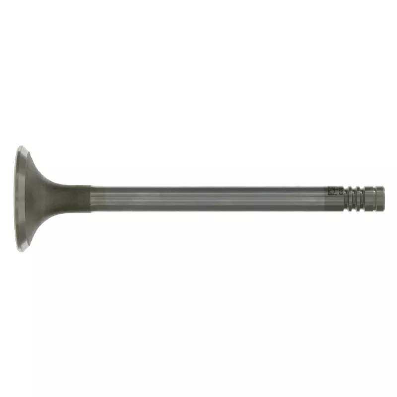 Soupape d'échappement FEBI BILSTEIN 19303