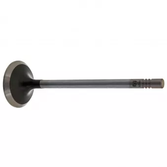 Soupape d'échappement FEBI BILSTEIN 19523