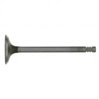Soupape d'admission FEBI BILSTEIN 19627