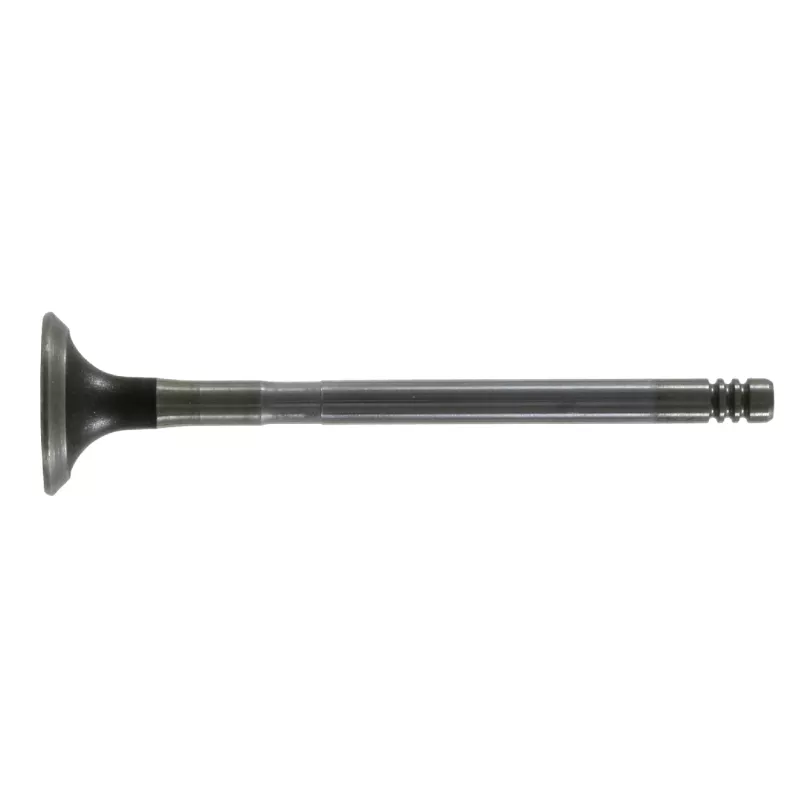 Soupape d'échappement FEBI BILSTEIN 19630