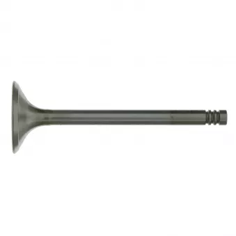 Soupape d'admission FEBI BILSTEIN 19636
