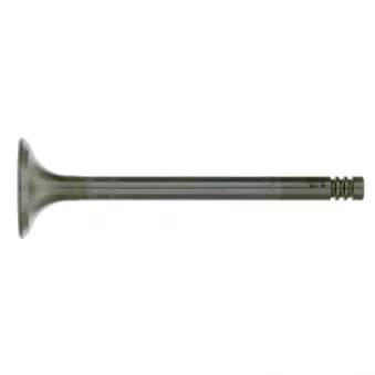 Soupape d'échappement FEBI BILSTEIN 19642