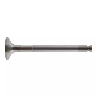Soupape d'échappement FEBI BILSTEIN 19883